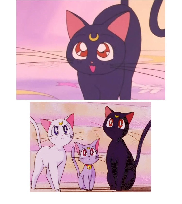 卡通软萌猫耳朵洗脸束发带水冰月猫咪洗脸发箍月亮发带饰品女