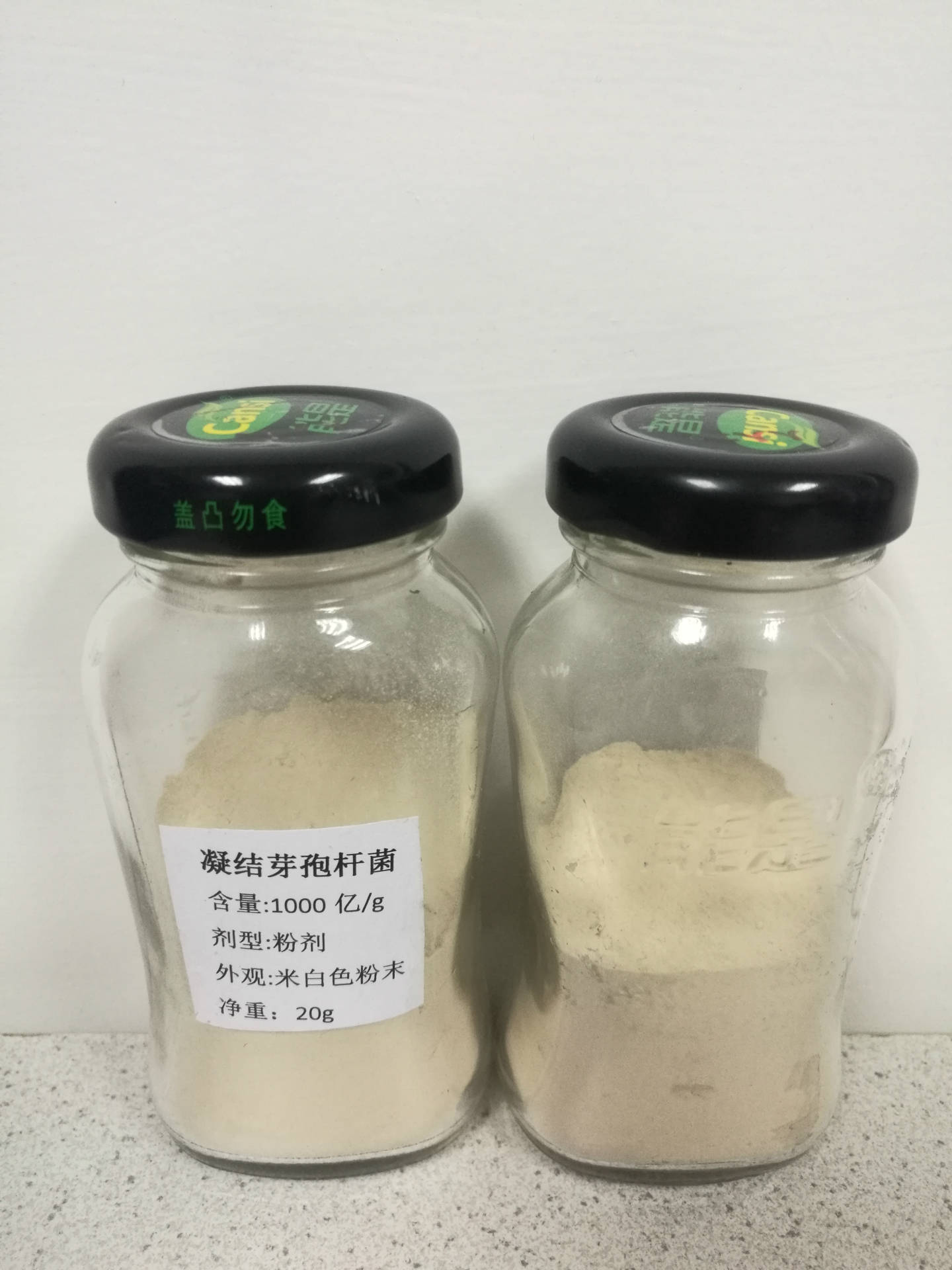 定制生产供应凝结芽孢杆菌 1000亿凝结芽孢杆菌 饲料水产农用均可