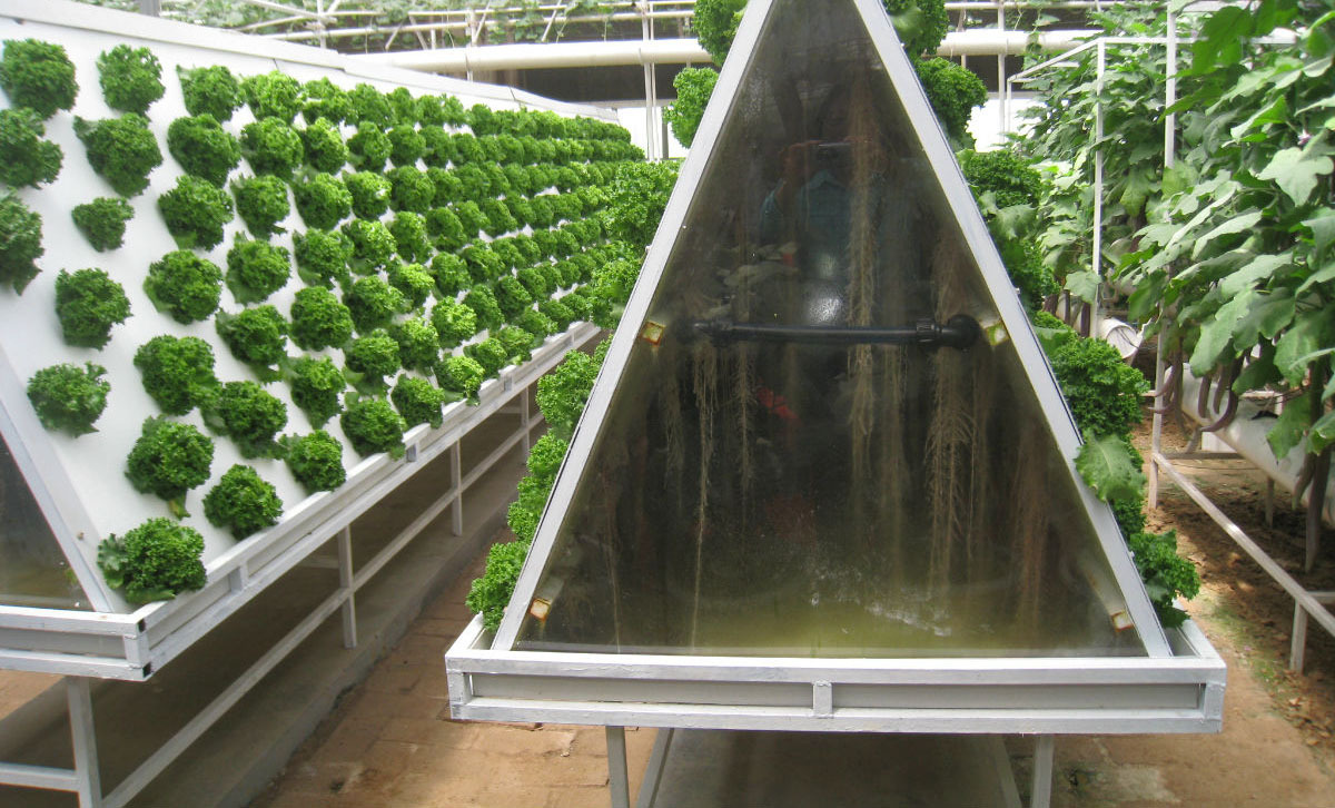 气雾栽培的特点及其应用(二)