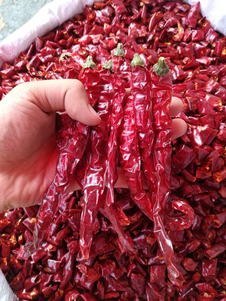 二荆条干辣椒 牧马山二斤条 提色提香微辣特香 红油辣子用 500克