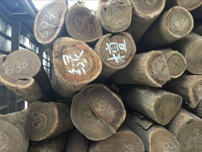 厂家批发阿根廷 巴拉圭绿檀 家具材绿檀原木 绿檀木料