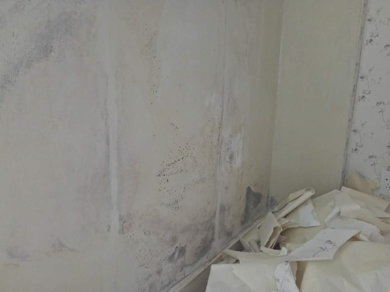 南方梅雨天气家里墙面发霉该怎么处理?