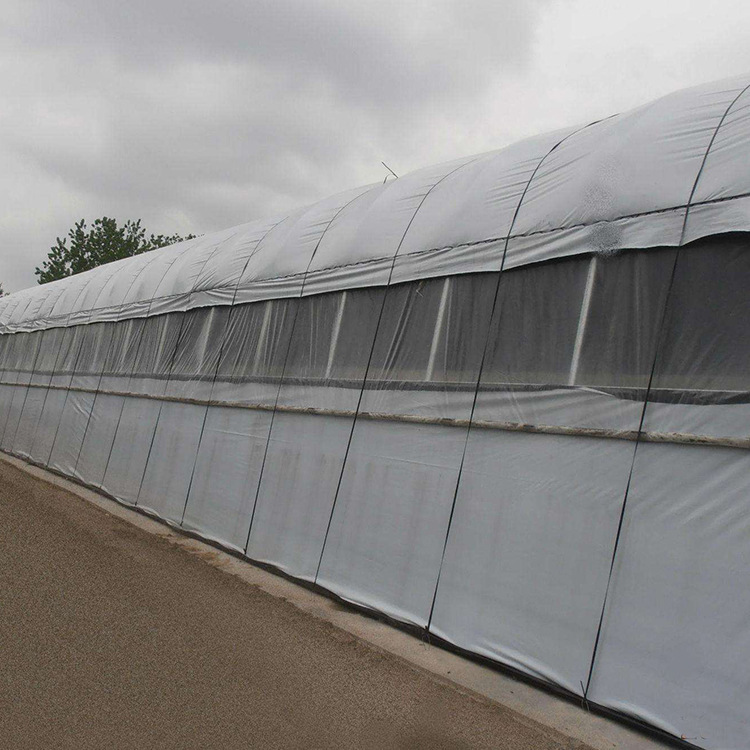 塑料膜大棚薄膜 pe大棚薄膜透明透光黑白膜塑料大棚膜