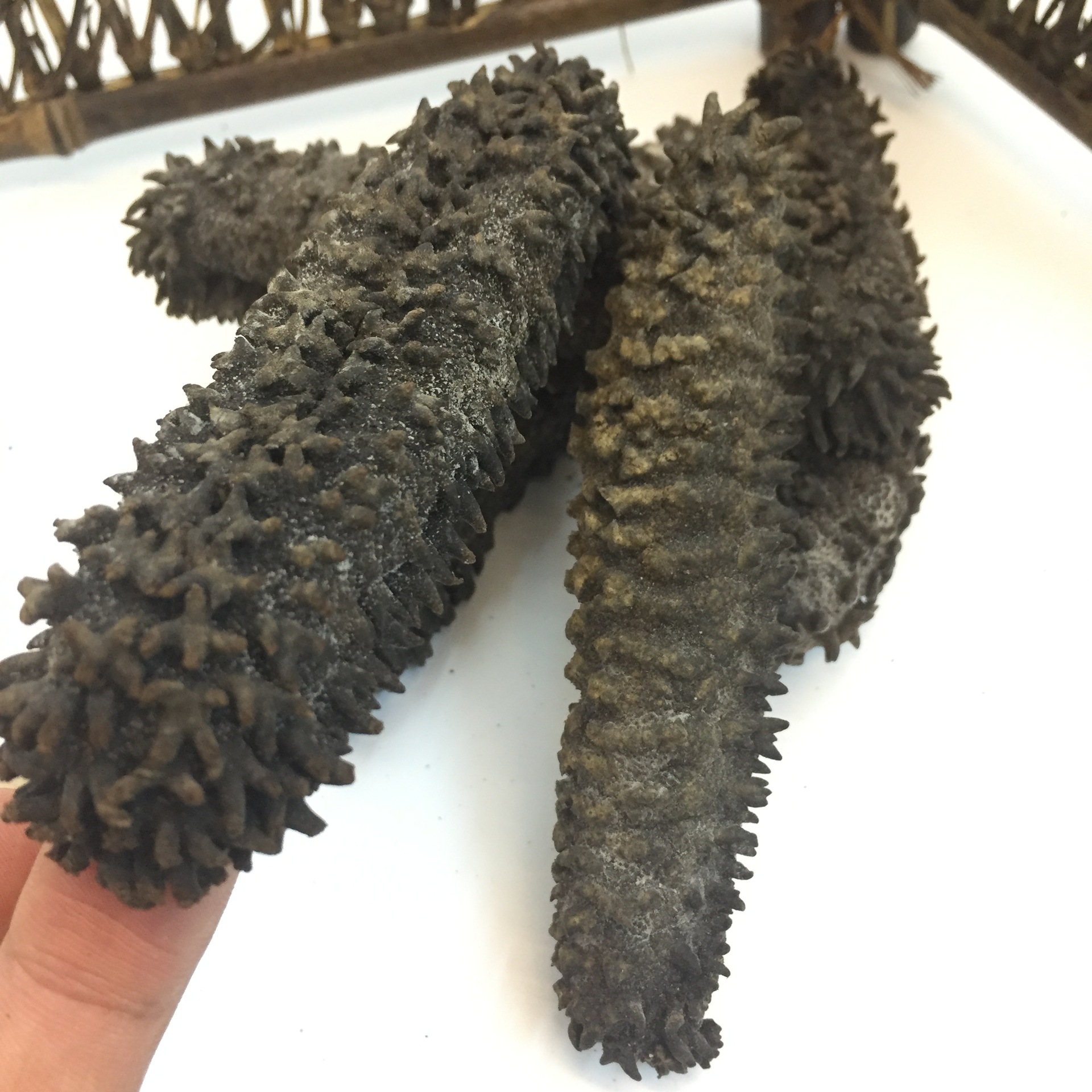 批发天然野生澳洲梅花参5-8头/斤 野生海参 刺参 海参干货批发