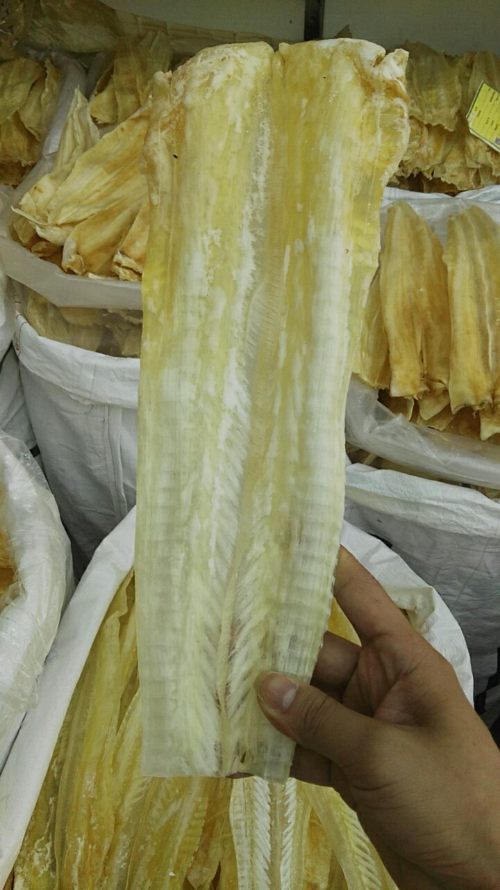 工厂大量直销鱼唇 足干厚肉发头好 30-40厘米