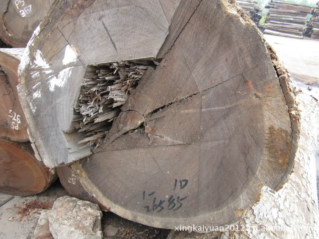 供应 皮灰原木 非洲黑檀原木 40-100cm-阿里巴巴