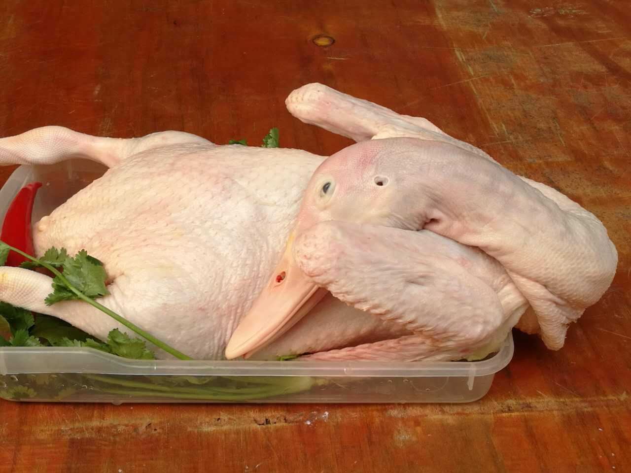 北京烤鸭专用鸭白条鸭厂家直销生鲜鸭冷冻鸭肉现杀现卖鸭肉