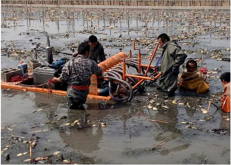 柴油机挖藕机 莲藕收获机 多种机型,厂家直销,质量保证