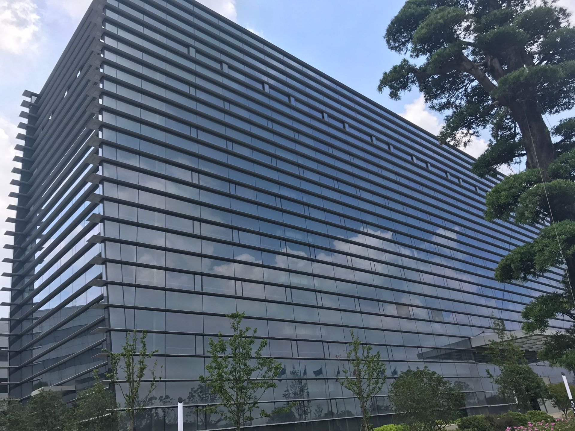 飞科全身水洗剃须刀刮胡刀胡须刀电动充电式胡子器