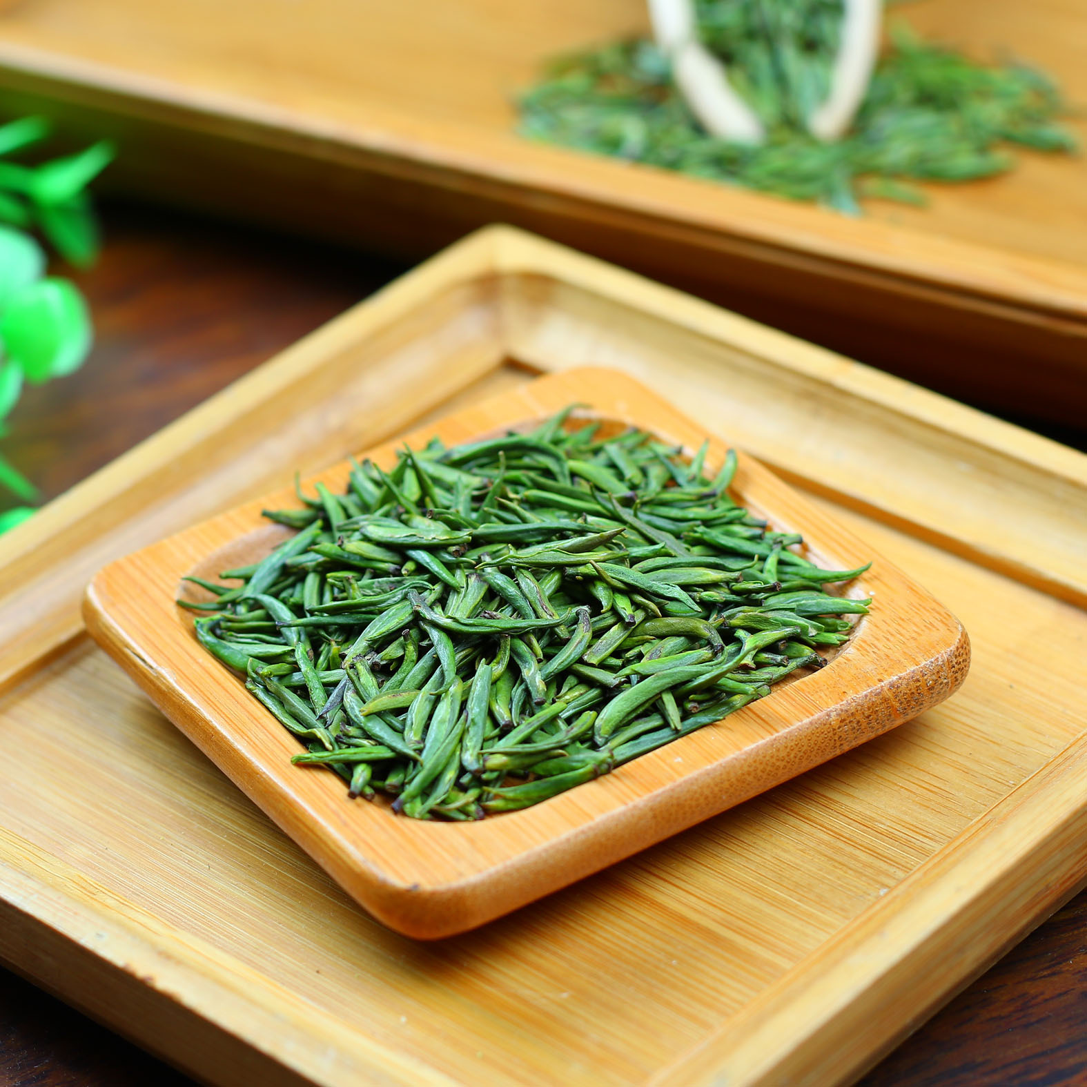 今年新峨眉山云雾绿茶单芽手工精选早春嫩芽雀舌御品竹芽散装称重