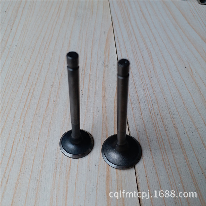 踏板助力摩托车四冲程风冷巧格100缸头带磁耐高温耐磨进排气门