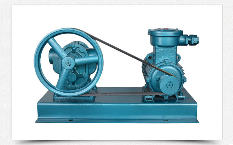 皮带轮齿轮泵详情主图1