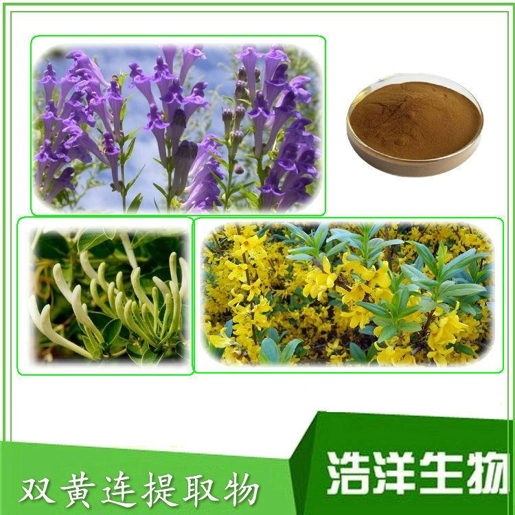 双黄连提取物 双黄连提取粉 双黄莲粉末