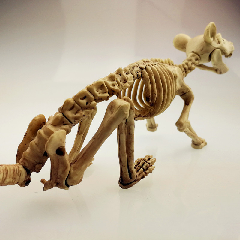 万圣节新款老鼠骨架 恶搞整人逼真万圣节骨架道具 万圣节老鼠骨架