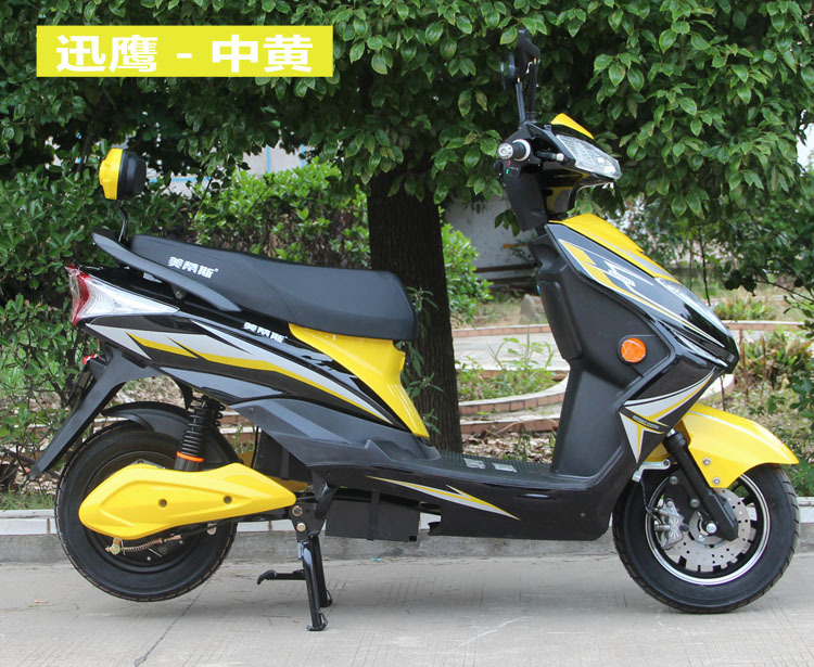 迅鹰定制 淘宝天猫京东加工 一件代发 电动车 成人电动车厂家批发