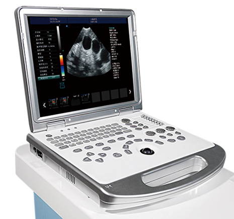 便携式兽用b超机手提式宠物彩超机笔记本式宠物b超机大为b超机