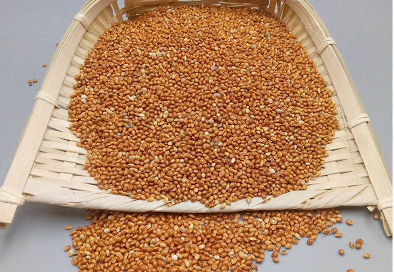 大额批发皇谷乡优质红黍子鹦鹉鸟粮枕芯填充黍子米带壳大黄米