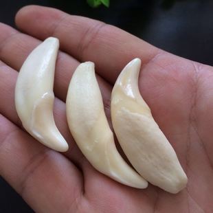 狼牙