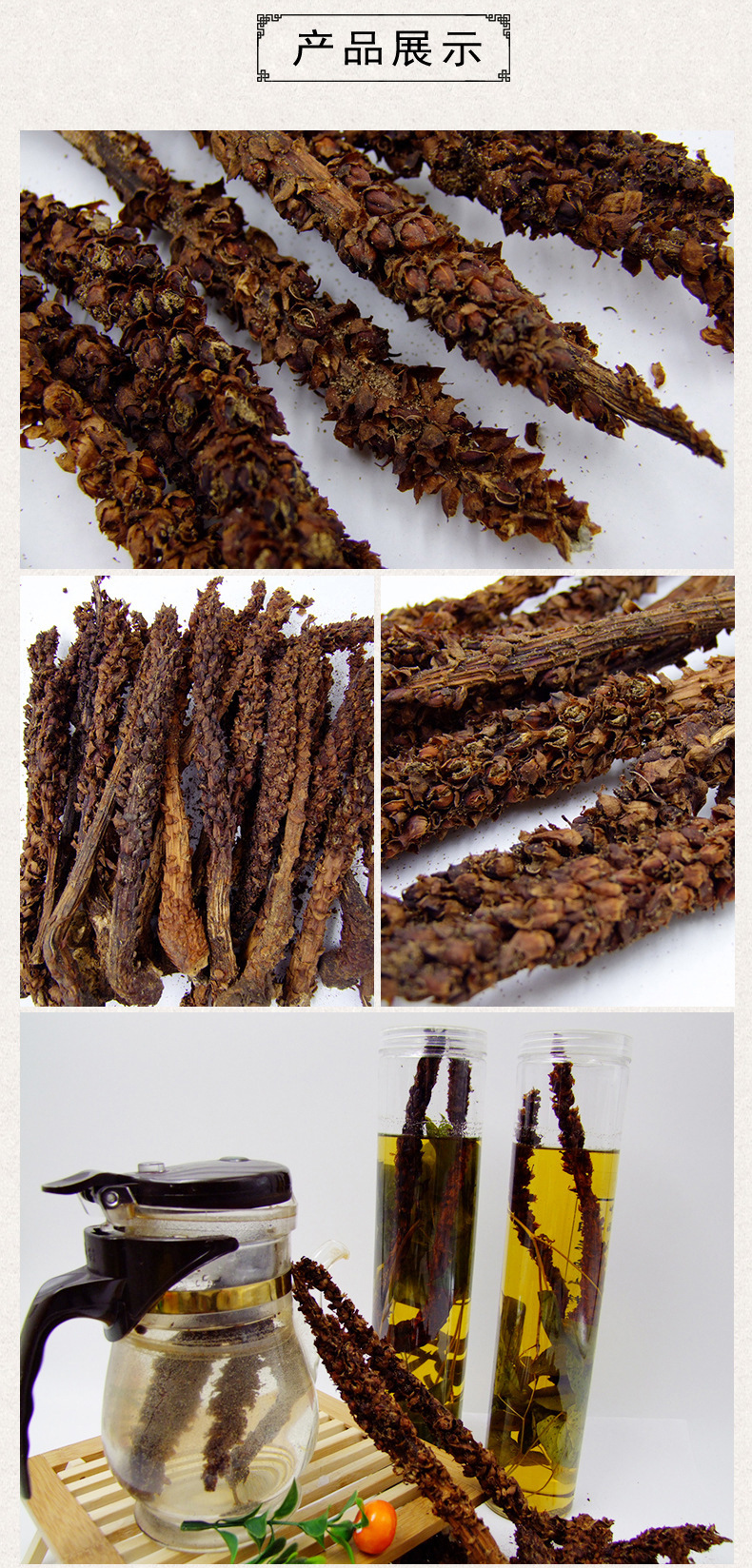 供应不老草 东北长生草100支起批发 长白山野生草苁蓉泡酒