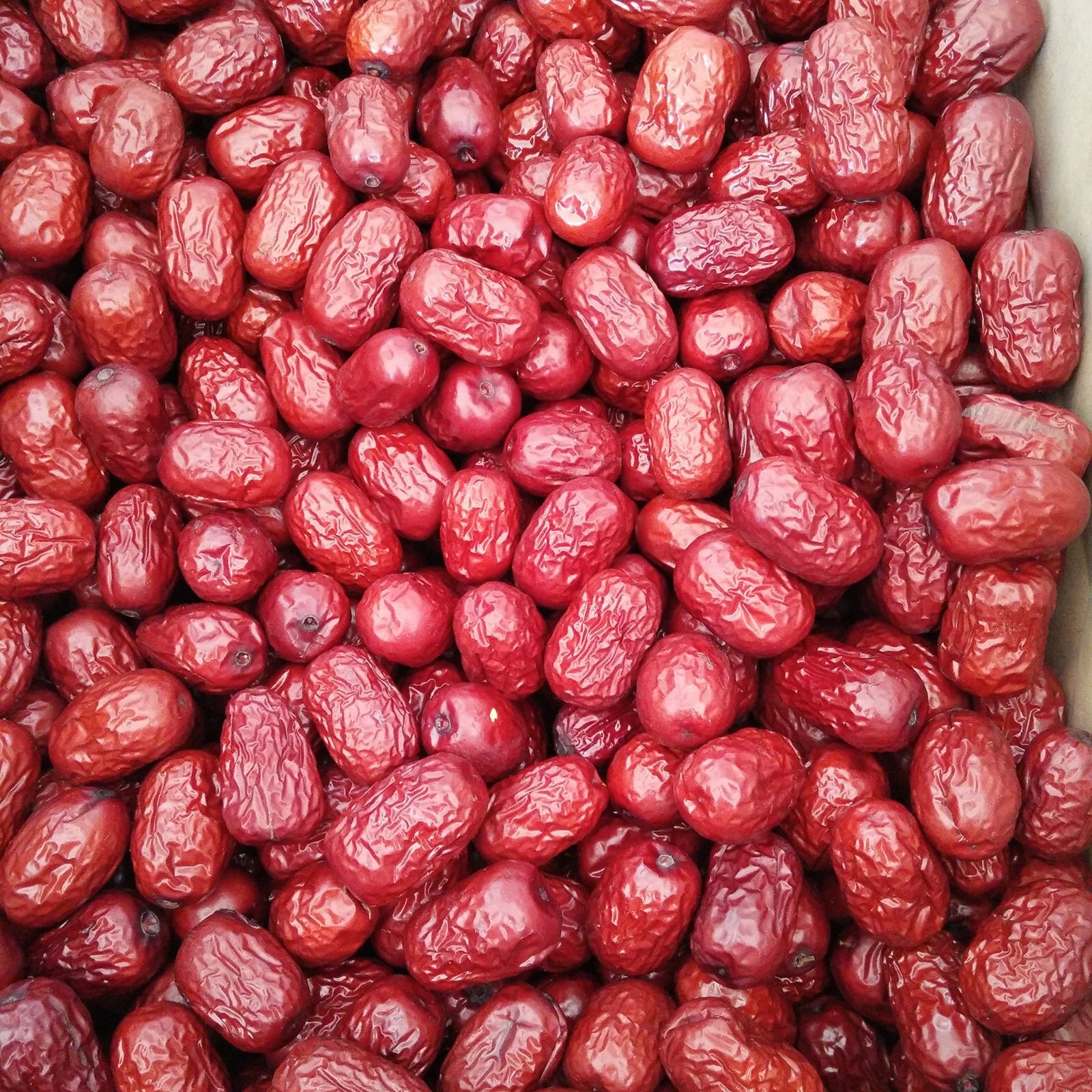 厂家批发 若羌灰枣 新疆红枣 精选一级灰枣5斤装 休闲零食