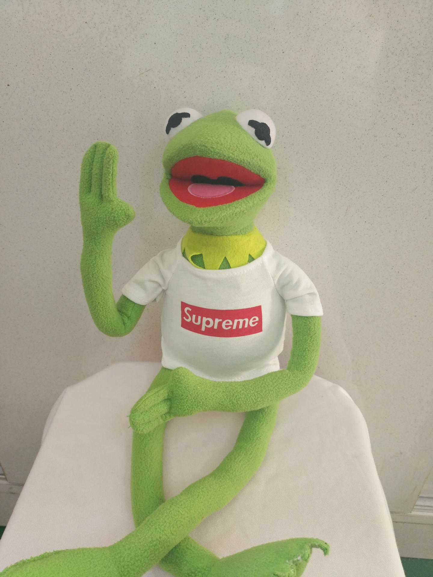 现货supreme青蛙公仔芝麻街科密特青蛙kermit 科米蛙生日礼物