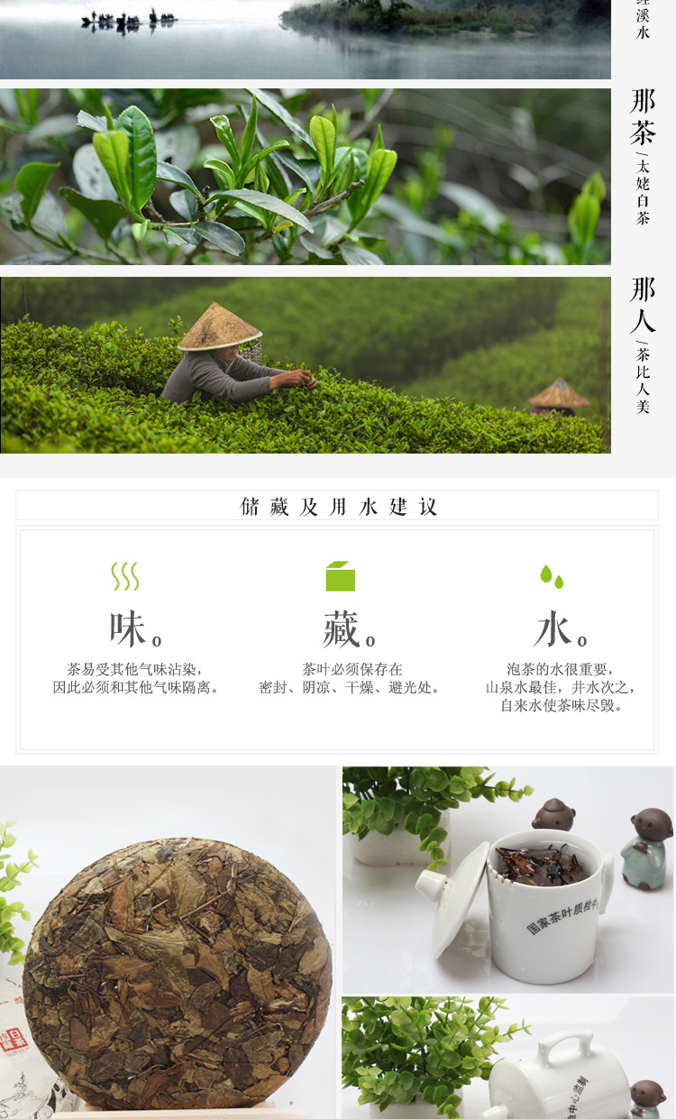原产地老寿眉茶饼 白茶福鼎白茶饼茶叶 福鼎茶老寿眉福鼎白茶饼