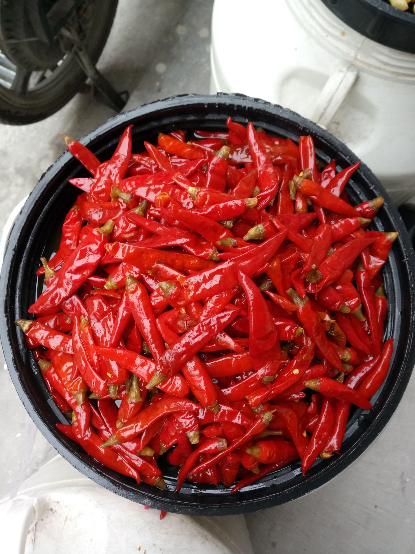 米辣泡椒,泡红椒,泡红米椒,泡七星椒,家常鱼,米辣鱼泡椒温馨提示;以上