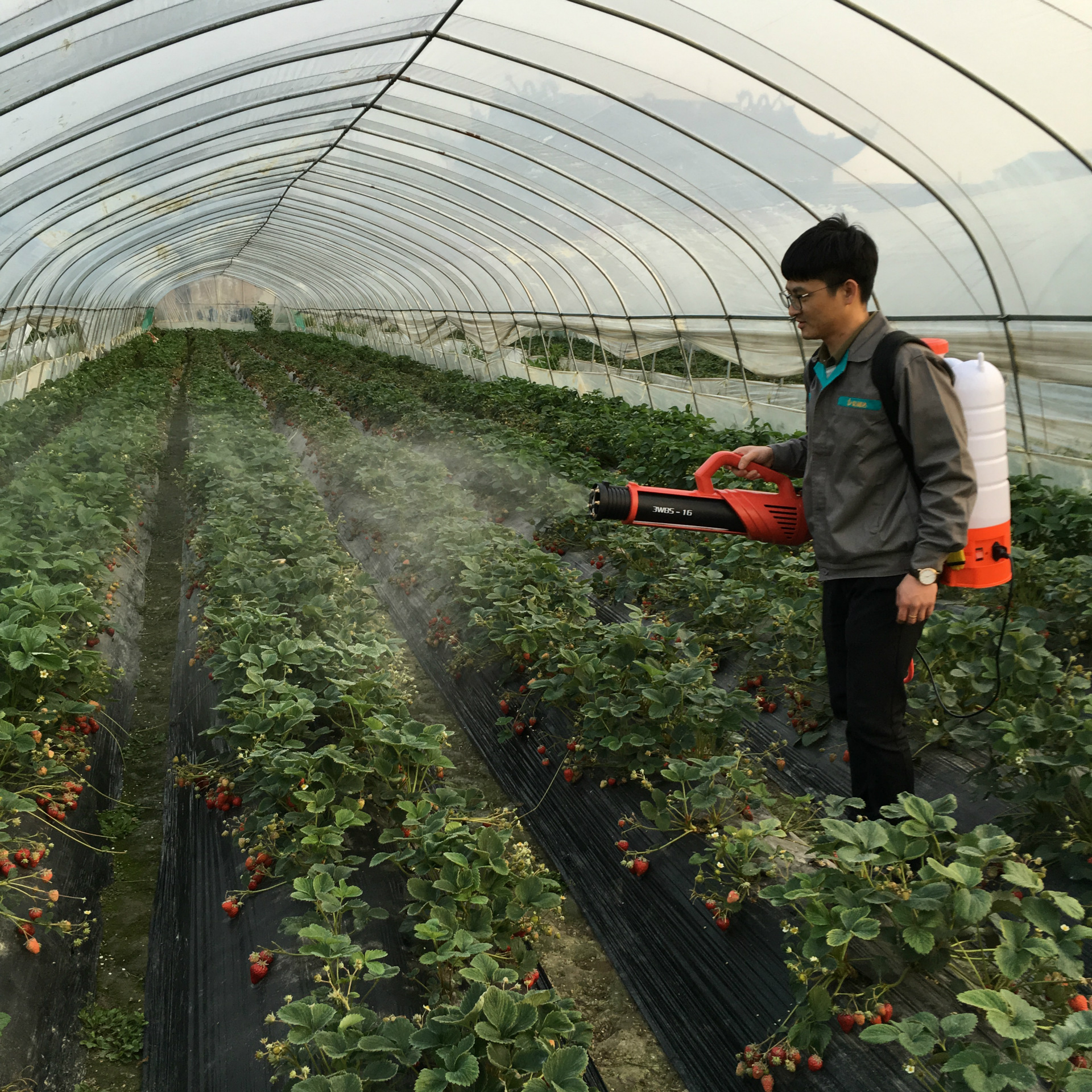 信利达风送式弥雾机18v农用雾化机大棚果园打药消杀背负式喷雾器