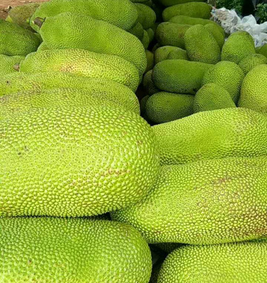 海南菠萝蜜22-25斤鲜果现发海南热带水果实惠邮到家鲜气四溢
