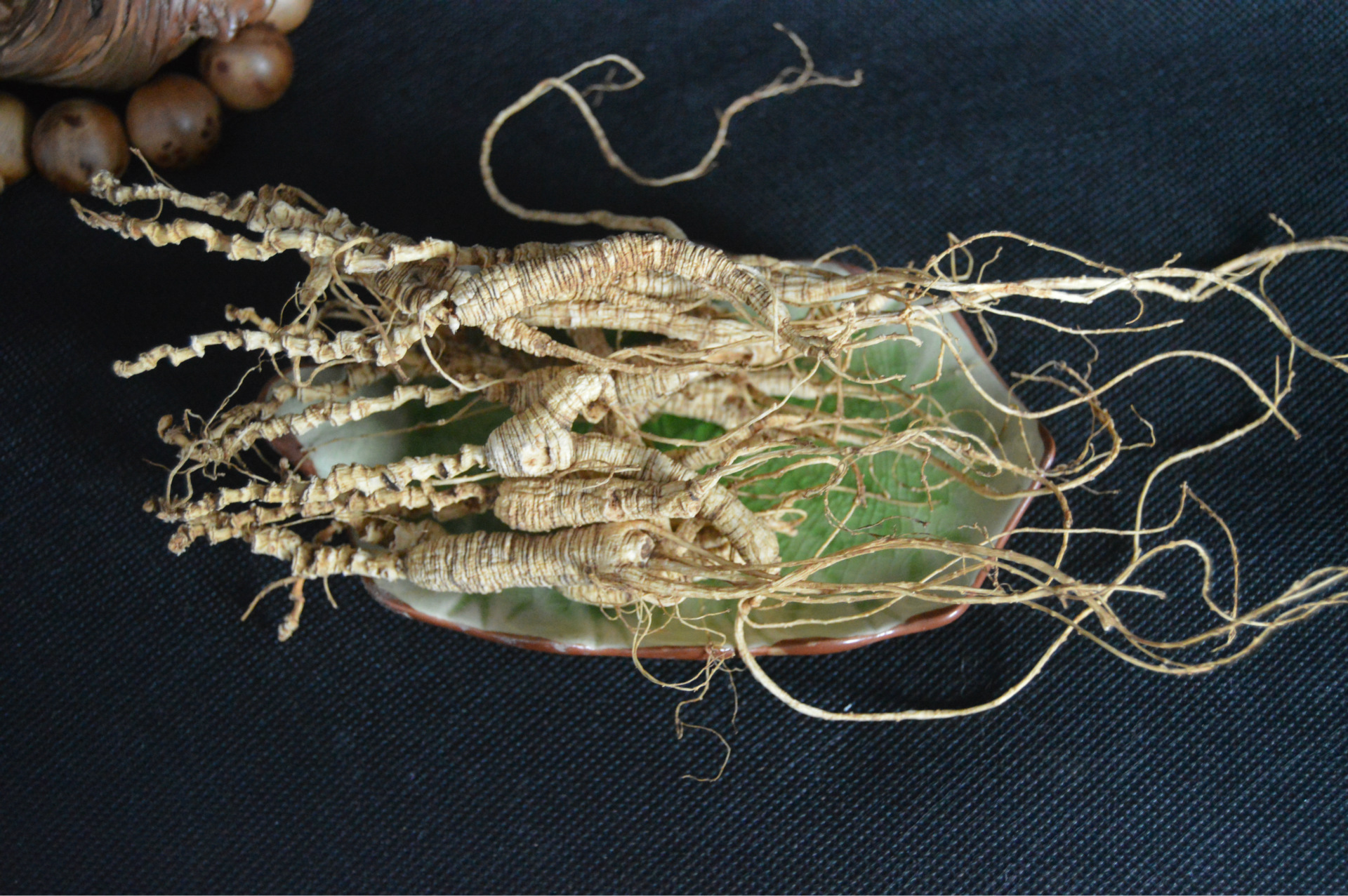 老人参 老山参 长白山老池底参 20年以上山参 东北山参 皮老纹深