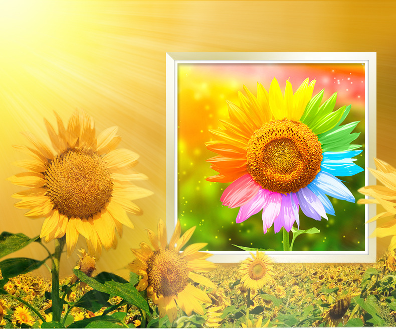 满钻魔方钻钻石画新款 客厅卧室高清彩虹向日葵点钻贴钻画代发