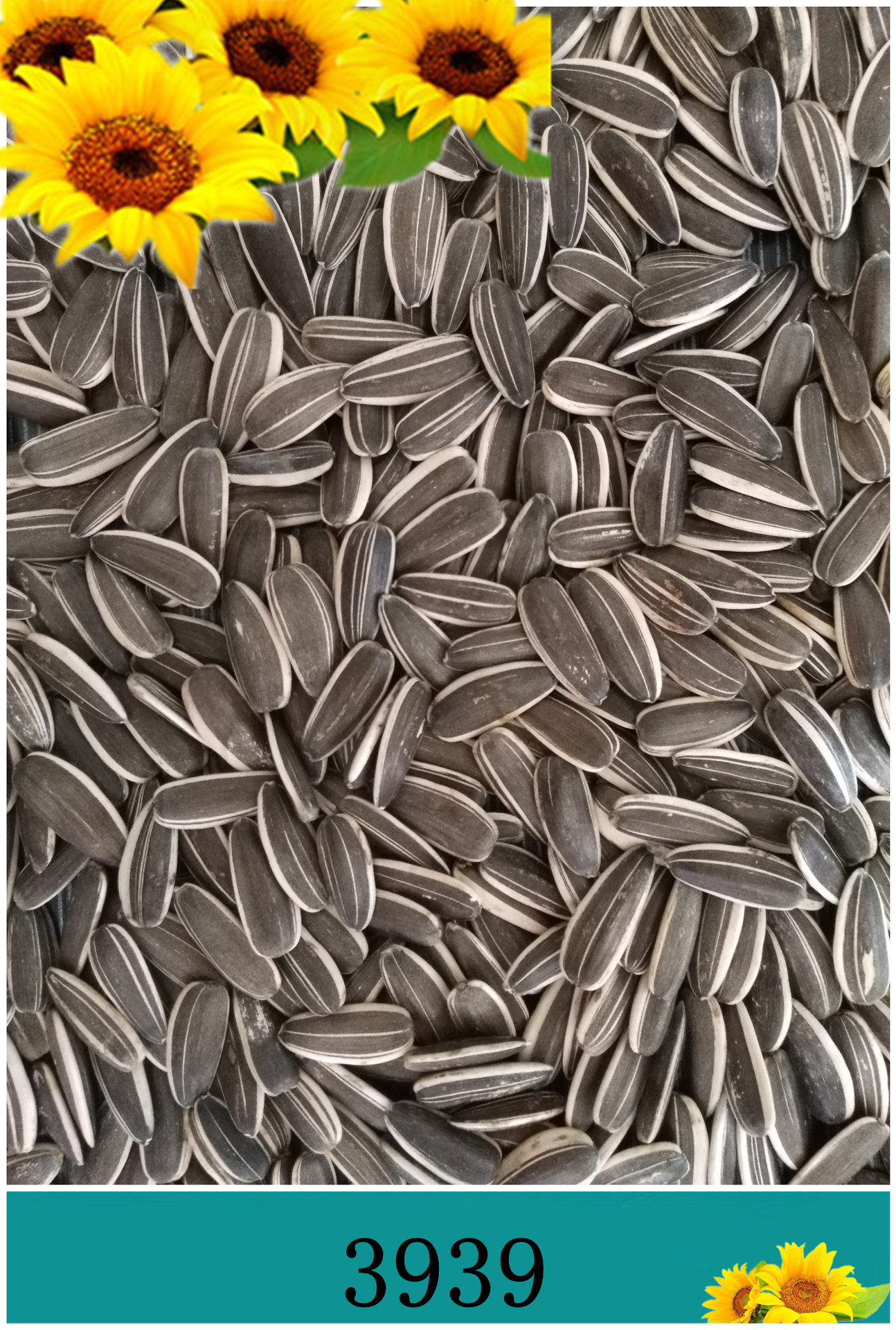 2020新葵花上市美葵系列瓜子3939