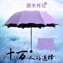 热卖雨伞遇水开花晴雨伞黑胶防紫外线太阳伞三折广告伞可定制logo