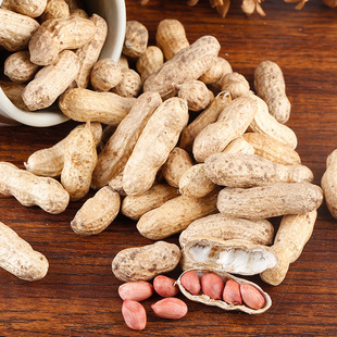 厂家直销散装红皮花生东北农产品批发 农家精选带壳红花生生花生