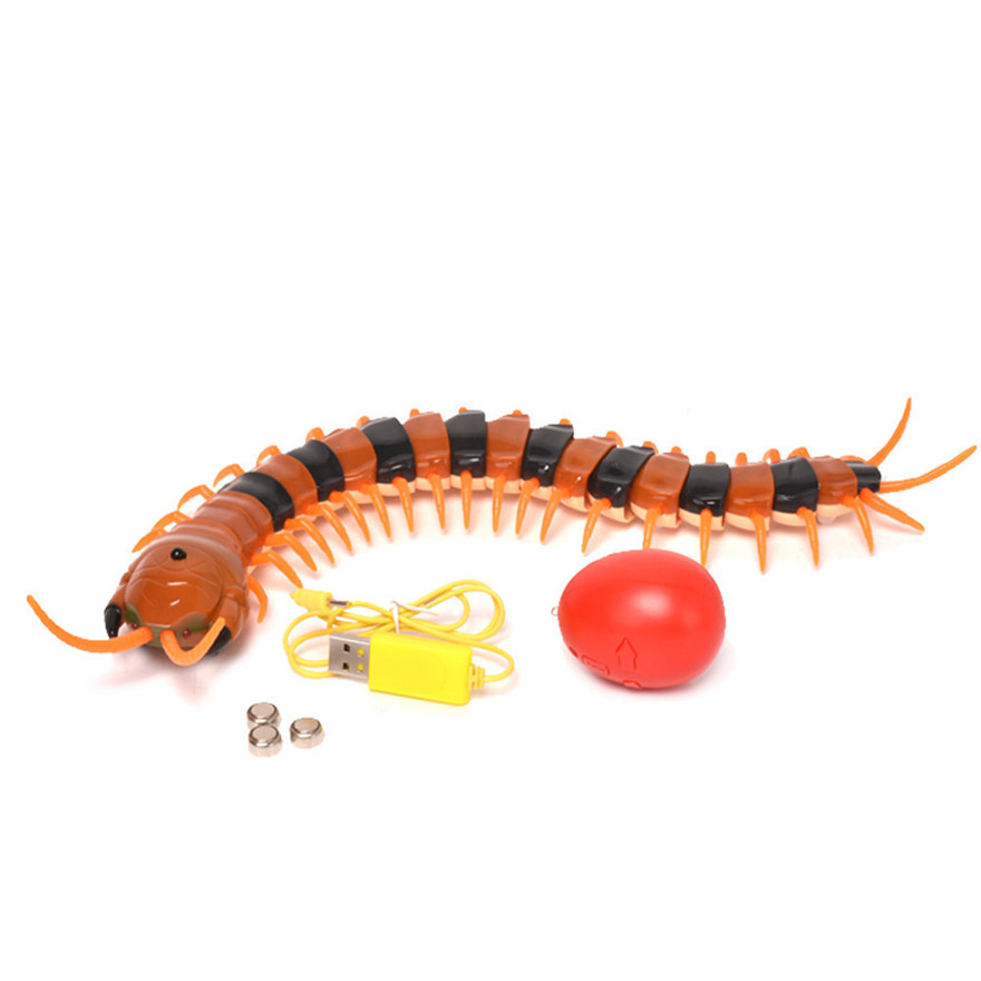 新款整蛊玩具 遥控蜈蚣超仿真动物 动作逼真宠物动物模型
