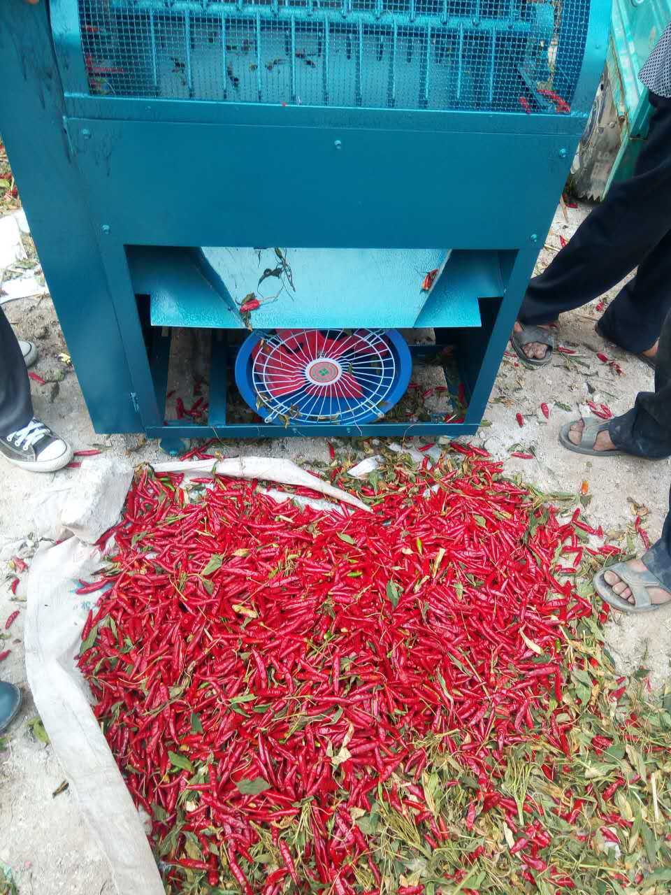 新型小型全自动辣椒采摘收获收割机摘朝天椒去把粉碎切断农用机械