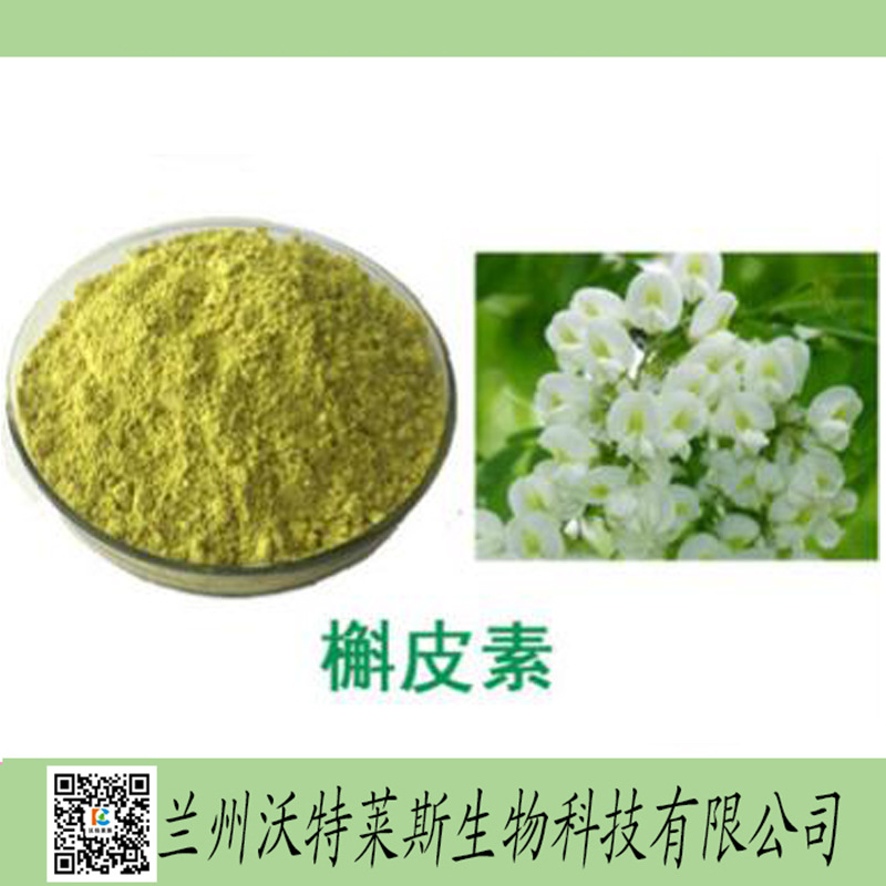 槲皮素水溶性槲皮素含量98槲皮素槐米提取物1kg起订