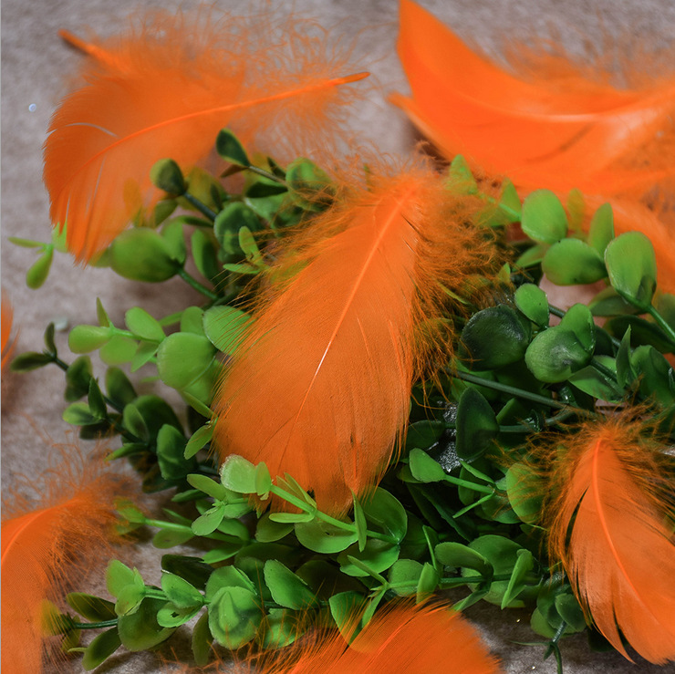 厂家直批 diy羽毛彩色羽毛弯弯羽毛鹅毛饰品配件手工羽毛