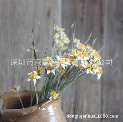 【水仙】小清新文艺自然家居艺术真花干花花艺插花水仙花拍摄道具