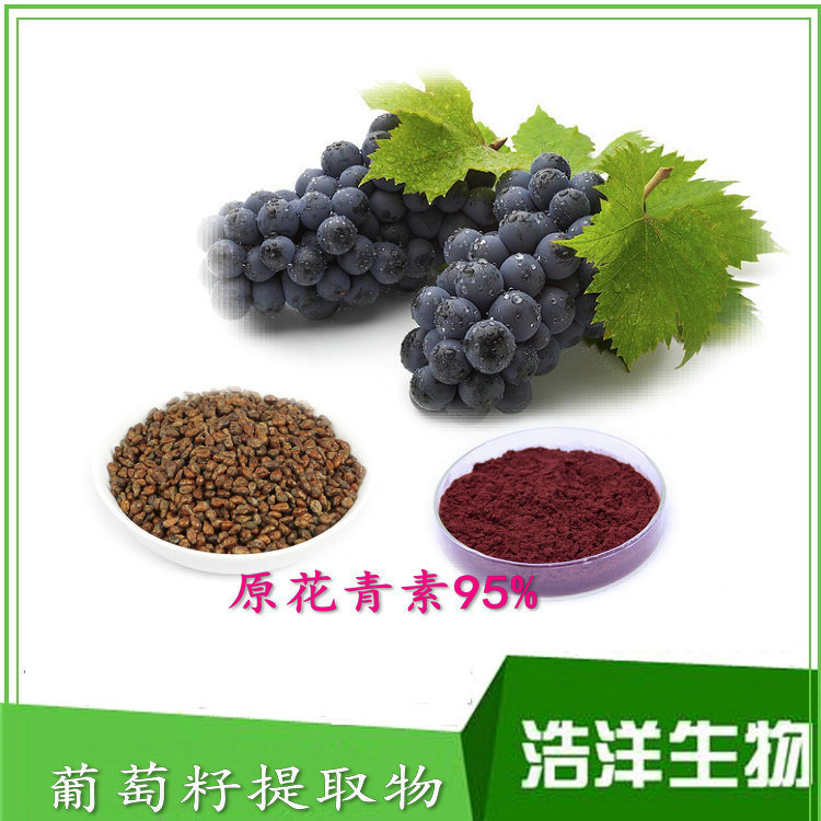 葡萄果粉 水溶红葡萄粉 葡萄皮粉多酚 葡萄籽提取物