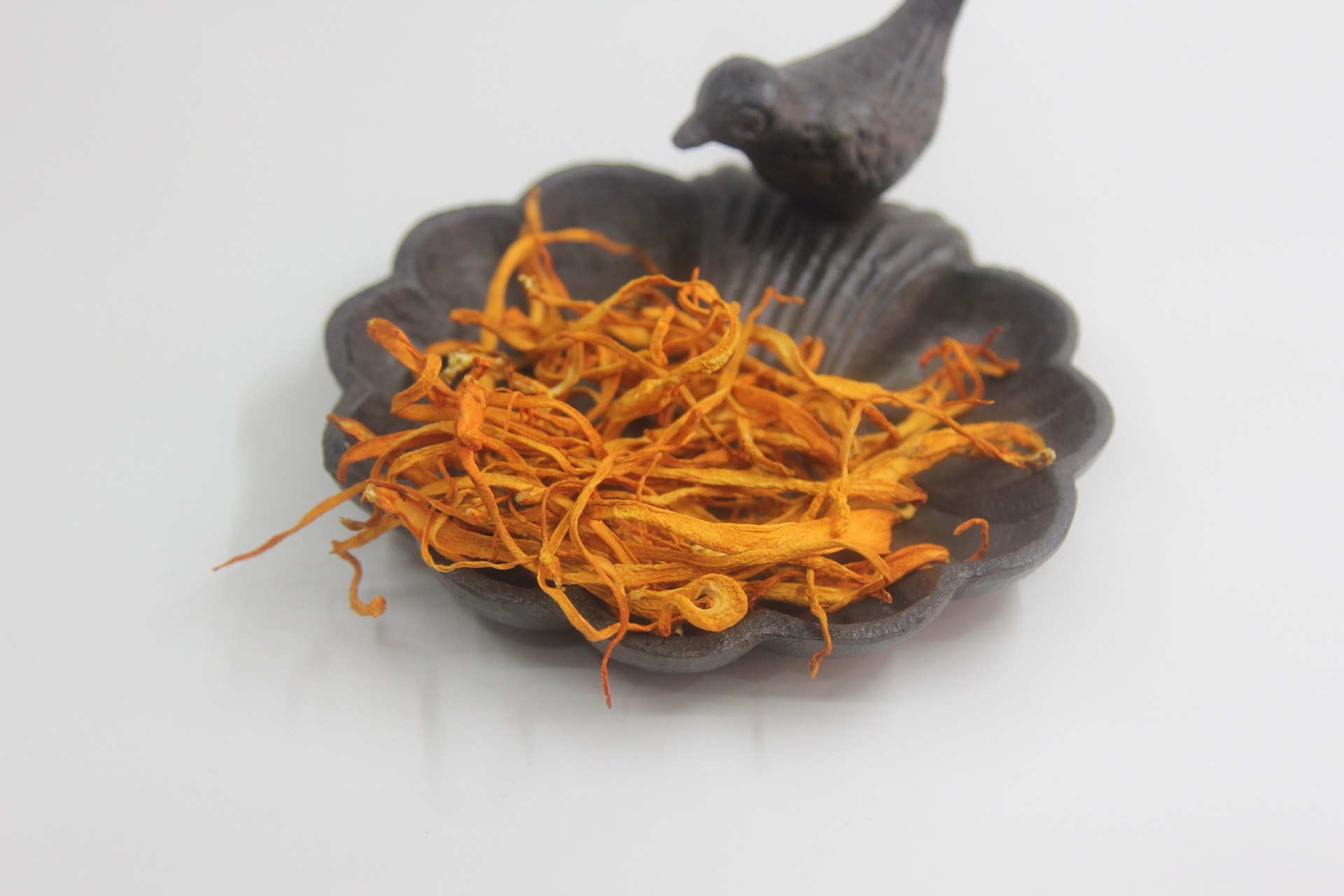 大货批发金虫草蛹虫草虫草花北虫草大货批发全排草无硫磺熏蒸!