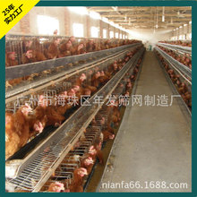 广州工厂优惠价格配件齐全蛋鸡笼 三层四门镀锌现货 鸡笼子养鸡笼
