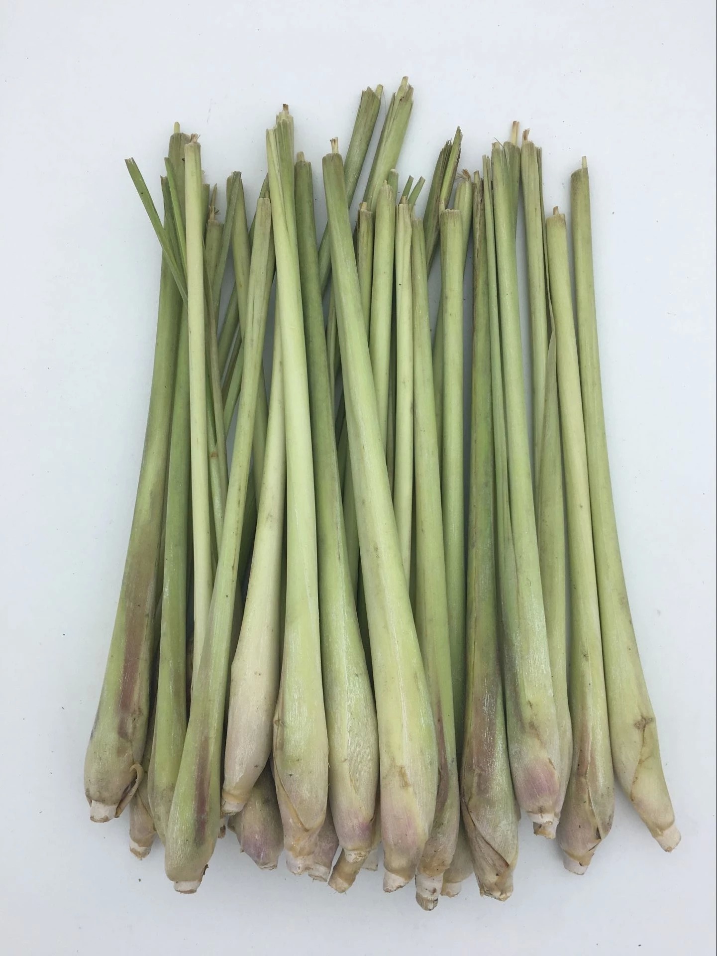 越南新鲜香茅草柠檬香草冬阴功汤料1000克