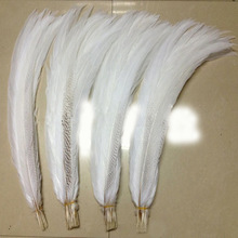 厂家供应银鸡尾羽毛 70-75cm狂欢节羽毛野鸡毛 舞台装饰服装配件