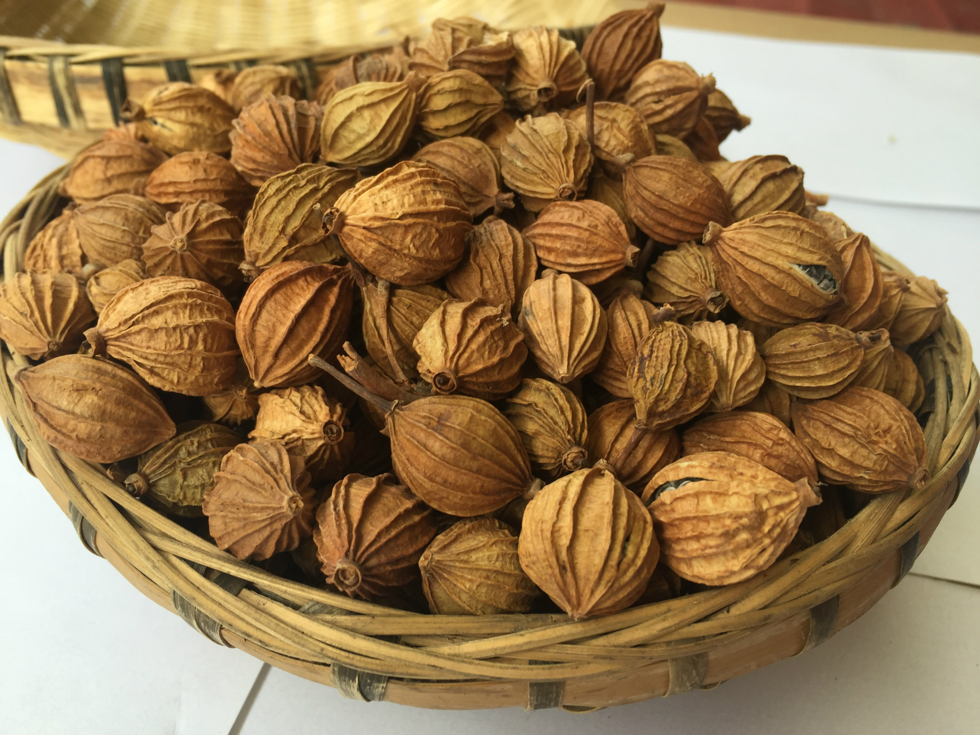 供应川砂仁 香沙仁 香砂仁 可打粉 烧烤炖肉卤菜烹饪 调料香料齐全