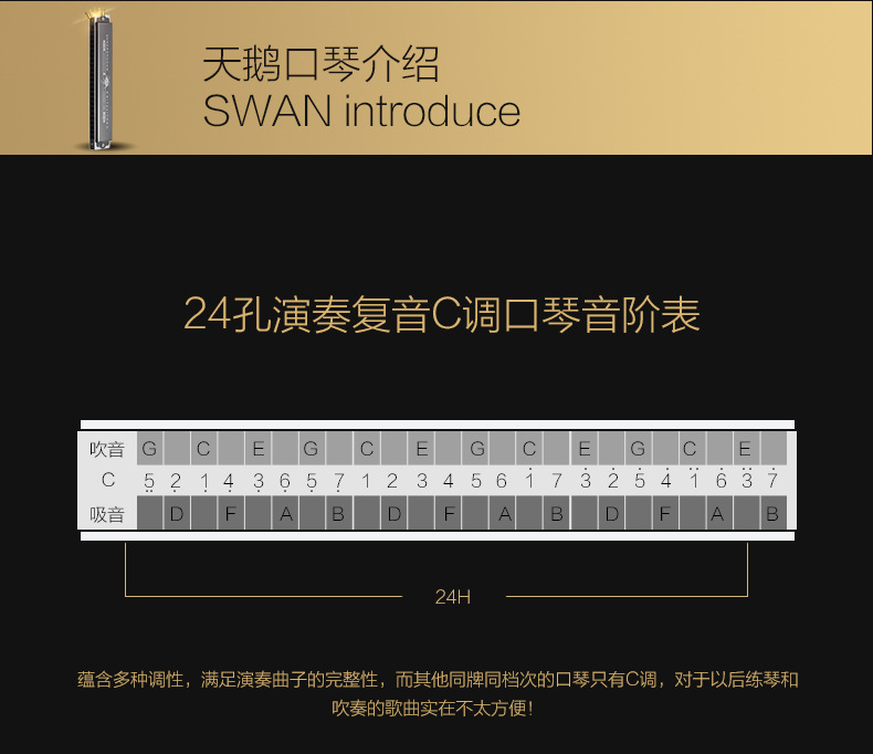 德国进口音簧天鹅口琴24孔复音初学者成人学生专业演奏口琴