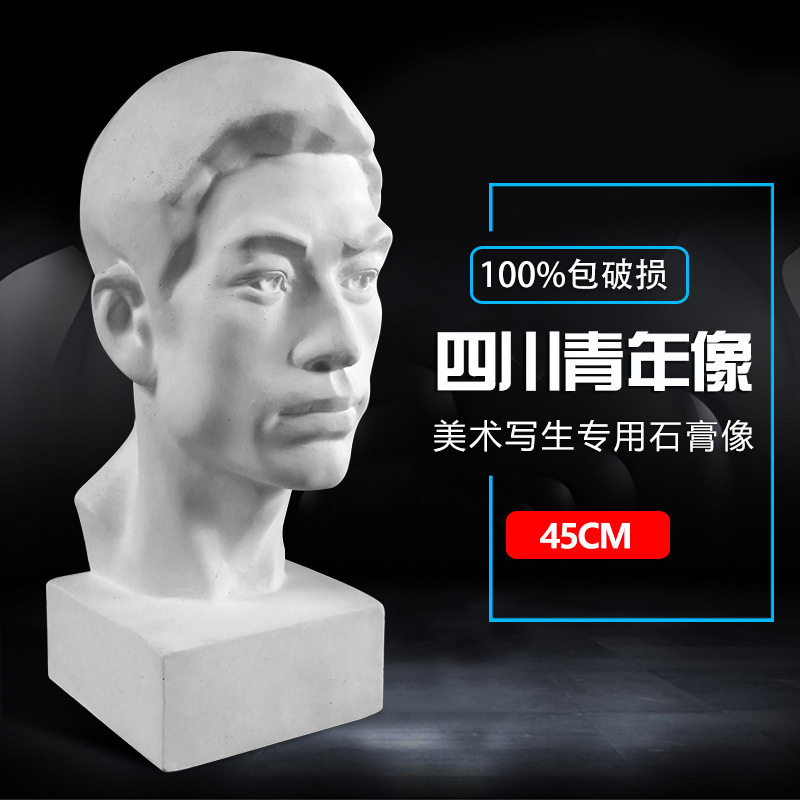 绘岳美术石膏人物头像四川青年石膏像静物写生胸像美术器材批发