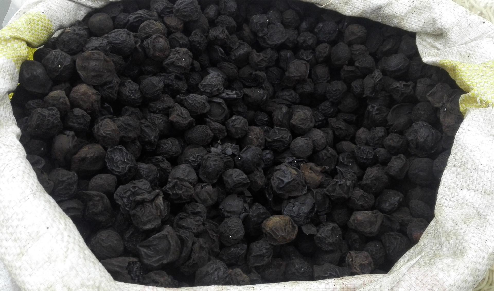 qq图片20170523223434_副本