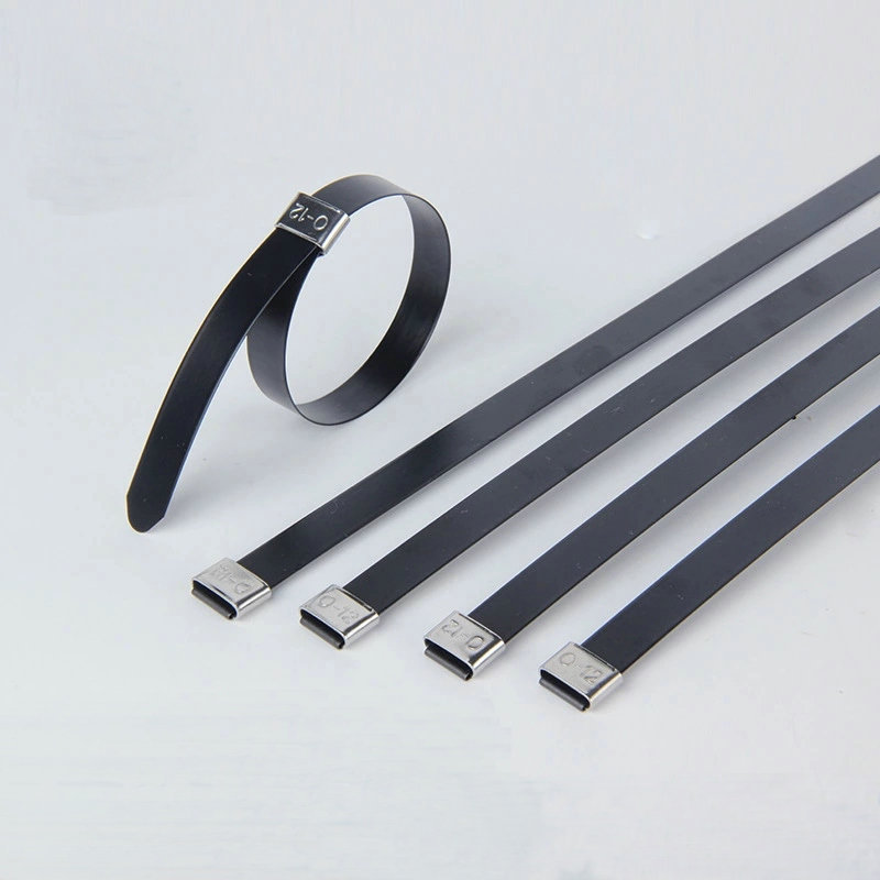 不锈钢扎带 喷塑不锈钢扎带l型锁紧式 12*200 任意长度可定制