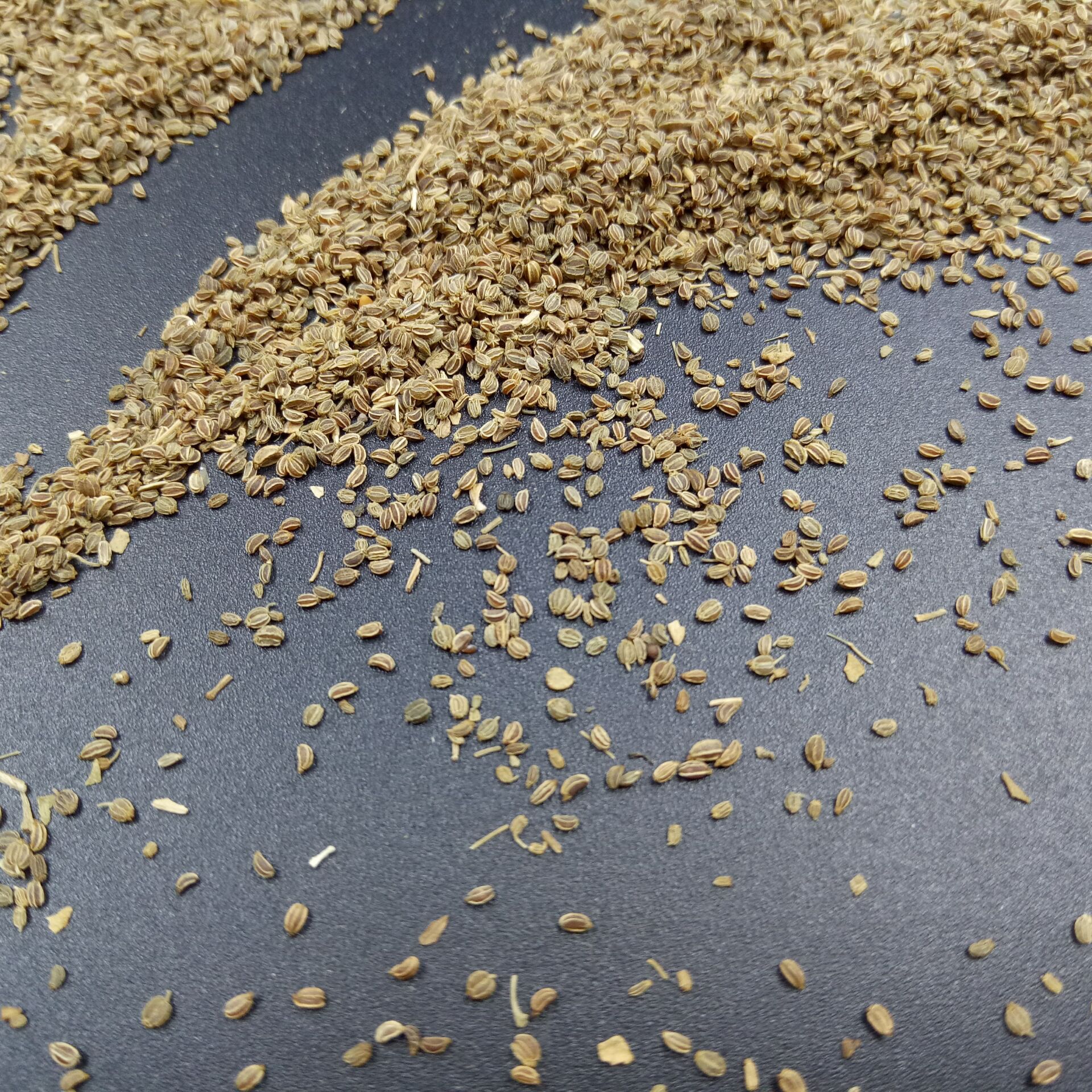 常富中药材 药食同源 芹菜子 芹菜籽 芹菜籽粉 各种菜籽磨粉